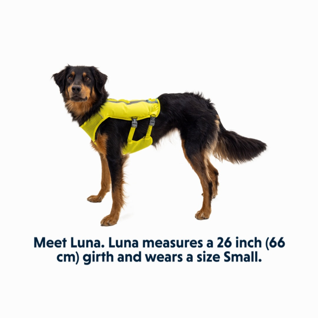 Ruffwear Trail Runner™ Dog Running Vest in Blue Pool (Small)
