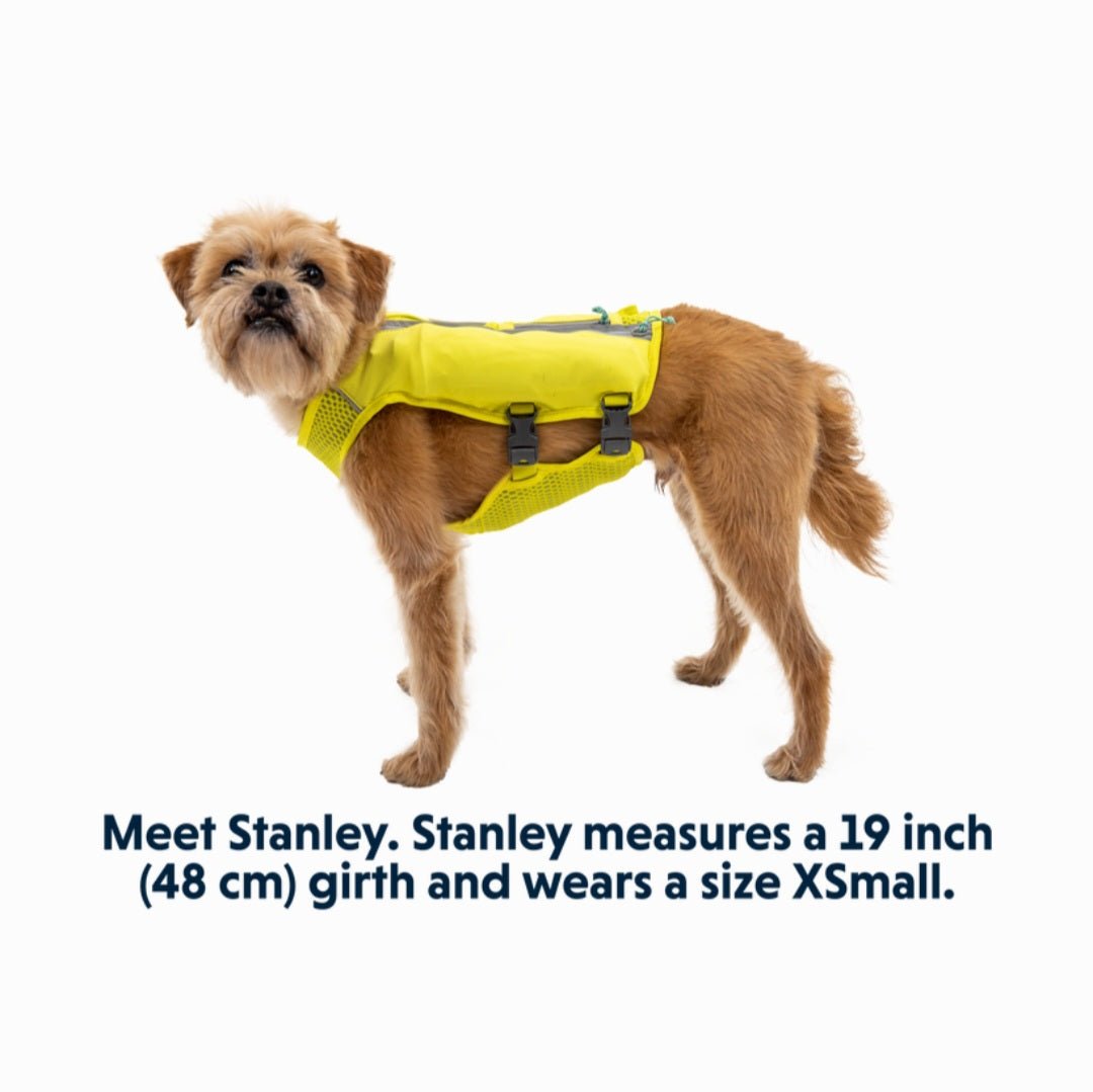 Ruffwear Trail Runner™ Dog Running Vest in Blue Pool (Small)